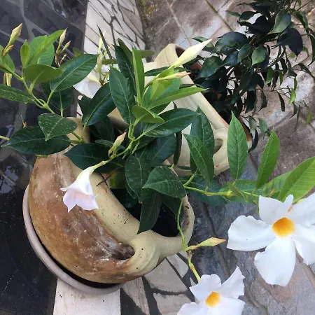 Tatil Evi Il Portico